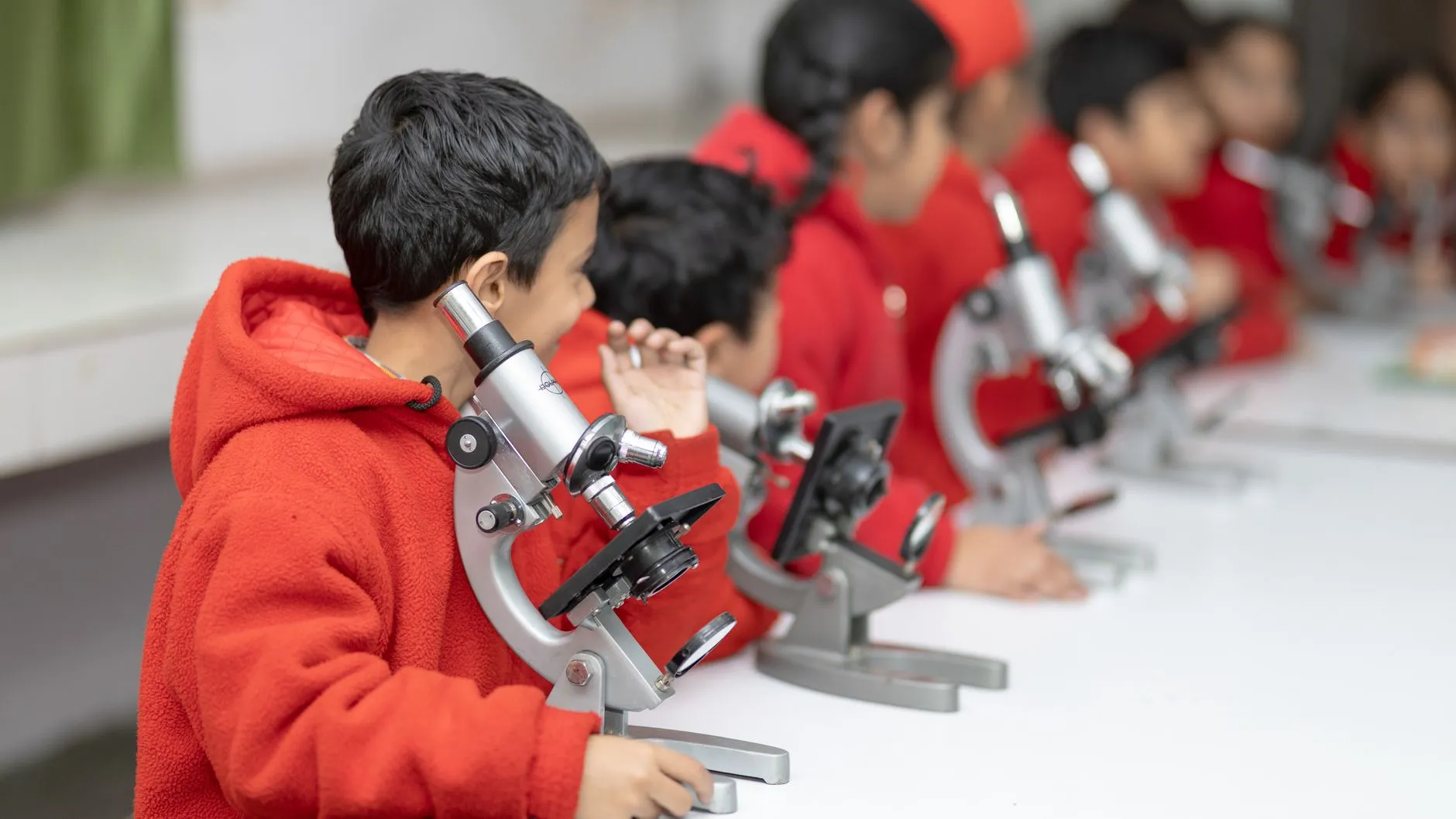 教学显微镜与生物显微镜在中学实验教学中的差异化应用正文配图 1